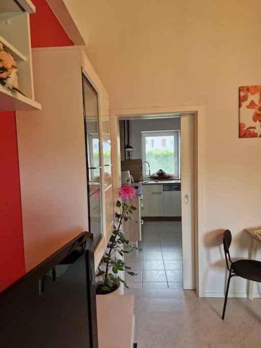 Ferienwohnung Bayernbrise Rohrdorf  Exterior photo